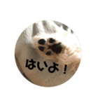ムタさん2（個別スタンプ：28）