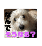 ムタさん2（個別スタンプ：29）