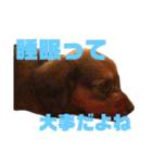 ムタさん2（個別スタンプ：32）