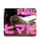 ムタさん2（個別スタンプ：36）
