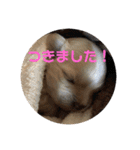 ムタさん2（個別スタンプ：38）