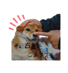 こまフスキーの日常（個別スタンプ：1）