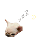 さちおくん。（個別スタンプ：1）