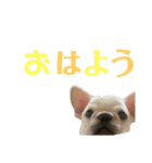 さちおくん。（個別スタンプ：6）