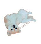 ぽじなふまた（個別スタンプ：24）
