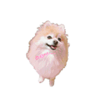 ぽじなふまた（個別スタンプ：25）