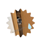 ぽじなふまた（個別スタンプ：36）