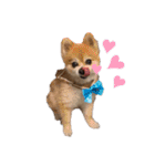 ぽじなふまた（個別スタンプ：39）