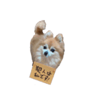 ぽじなふまた（個別スタンプ：40）