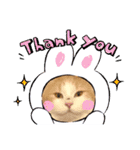 猫ねこぬこ（個別スタンプ：1）