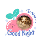 猫ねこぬこ（個別スタンプ：6）