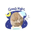 猫ねこぬこ（個別スタンプ：7）