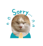 猫ねこぬこ（個別スタンプ：8）