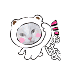 猫ねこぬこ（個別スタンプ：12）
