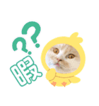 猫ねこぬこ（個別スタンプ：18）