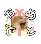 猫ねこぬこ（個別スタンプ：20）