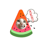 おきらく茶白ねこ3（個別スタンプ：4）
