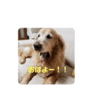 我が家のけいたくん（個別スタンプ：1）