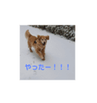 我が家のけいたくん（個別スタンプ：5）