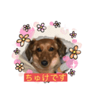 ちゅけこのスタンプ（個別スタンプ：1）