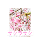 のいの色々スタンプ（個別スタンプ：5）