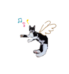 そら＆あずき（個別スタンプ：5）