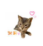 ポーの兄弟（個別スタンプ：3）