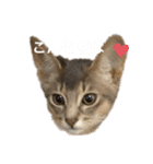ポーの兄弟（個別スタンプ：4）