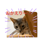 ポーの兄弟（個別スタンプ：5）