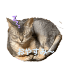 ポーの兄弟（個別スタンプ：6）