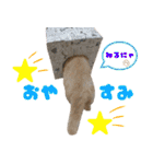 しゅたんぷニャン（個別スタンプ：2）