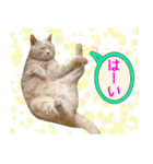 しゅたんぷニャン（個別スタンプ：7）