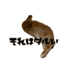 うにウニ雲丹UNI（個別スタンプ：3）
