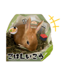 うにウニ雲丹UNI（個別スタンプ：7）