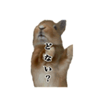 うにウニ雲丹UNI（個別スタンプ：9）
