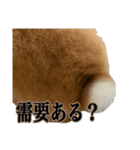 うにウニ雲丹UNI（個別スタンプ：10）
