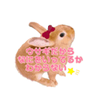 うにウニ雲丹UNI（個別スタンプ：13）