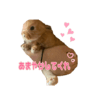 うにウニ雲丹UNI（個別スタンプ：15）