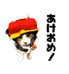 猫見家スタンプ（個別スタンプ：9）