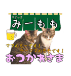 猫見家スタンプ（個別スタンプ：26）