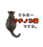 猫見家スタンプ（個別スタンプ：30）