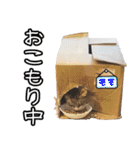 猫見家スタンプ（個別スタンプ：34）