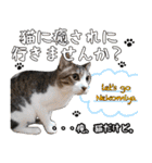 猫見家スタンプ（個別スタンプ：36）
