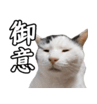 猫見家スタンプ（個別スタンプ：40）