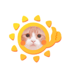 韓国名のねこたち（個別スタンプ：1）