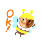 韓国名のねこたち（個別スタンプ：7）