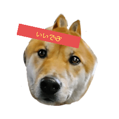 [LINEスタンプ] 津軽弁のワンコ