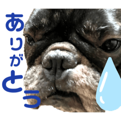 [LINEスタンプ] ゆずとまる子