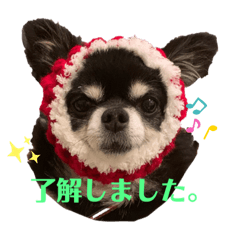 [LINEスタンプ] びーたろうスタンプ