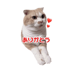 [LINEスタンプ] うなぎくんスタンプ